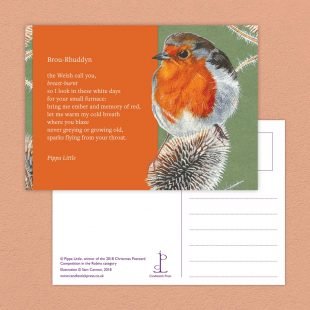 View ‘Ten Poems about Robins’ postcard Postcard included with the Ten Poems about Robins poetry pamphlet on a decorative background