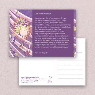 View ‘Christmas Stories: Twelve Poems to Tell and Share’ postcard Postcard included with the Christmas Stories: Twelve Poems to Tell and Share poetry pamphlet on a decorative background