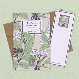 View ‘Ten Poems of Kindness: Volume One’ group shot Group image of the Ten Poems of Kindness: Volume One poetry pamphlet on a decorative background