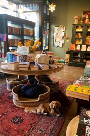 Books on the Hill interior Books on the Hill interior