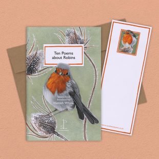 View ‘Ten Poems about Robins’ group shot Group image of the Ten Poems about Robins poetry pamphlet on a decorative background