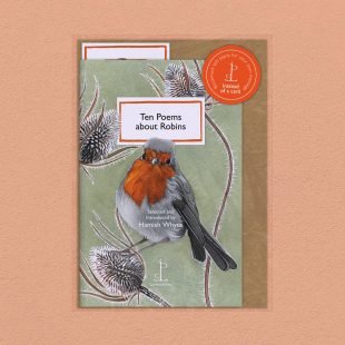 View ‘Ten Poems about Robins’ pack shot Pack image of the Ten Poems about Robins poetry pamphlet on a decorative background