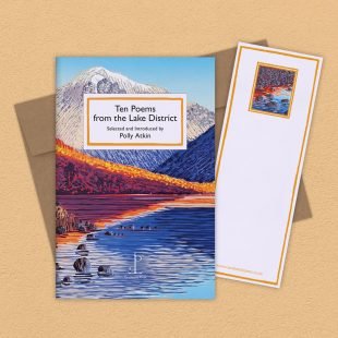 Group image of the Ten Poems from the Lake District poetry pamphlet on a decorative background