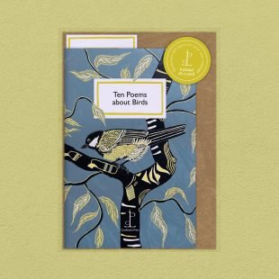 Pack image of the Ten Poems about Birds poetry pamphlet on a decorative background
