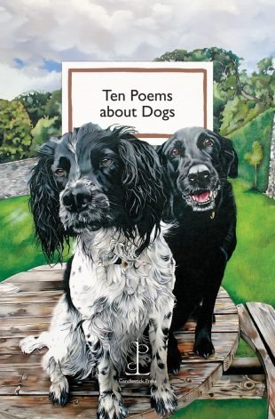 View ‘Ten Poems about Dogs‘ Front cover of the Ten Poems about Dogs poetry pamphlet